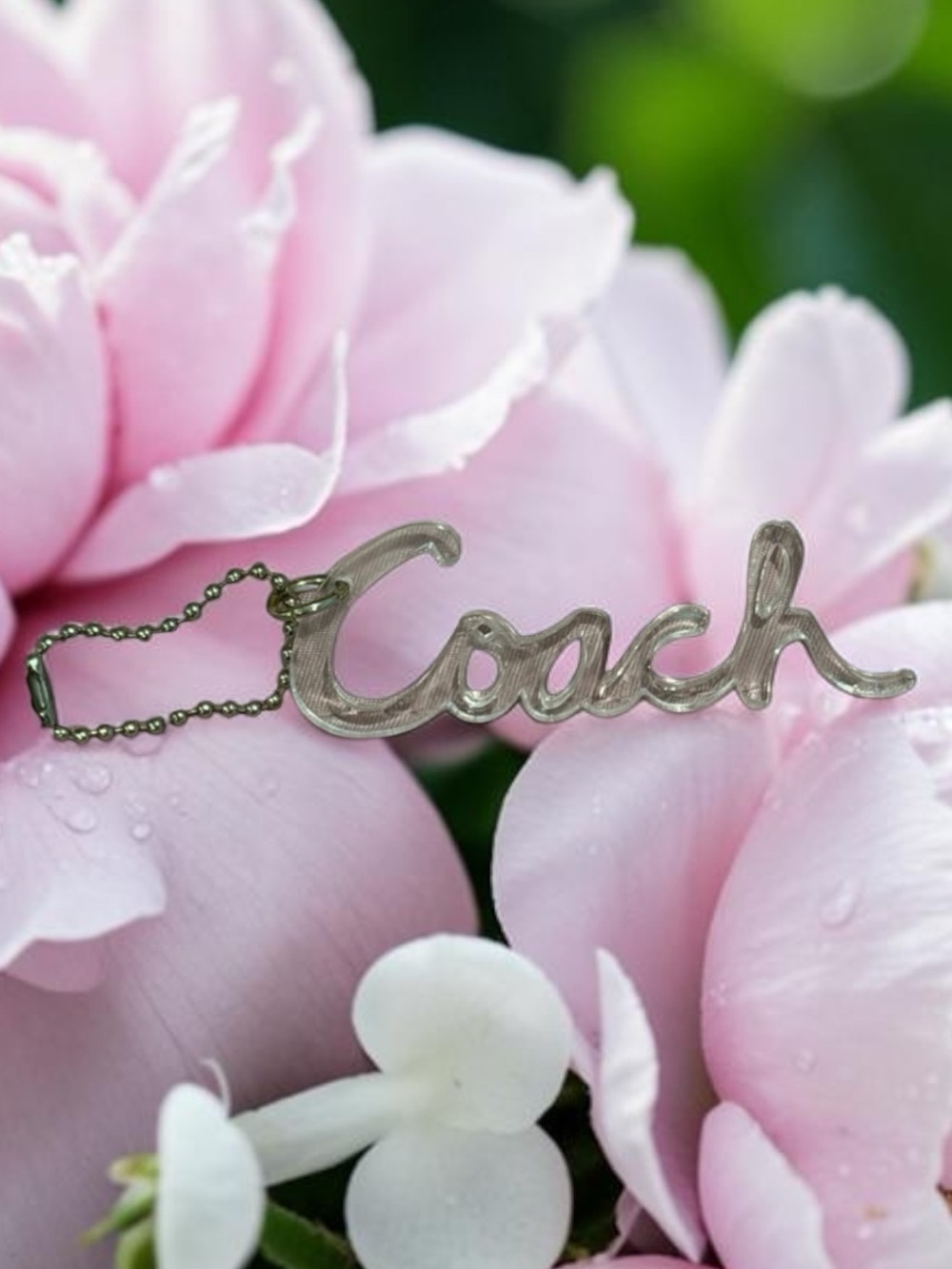 Coach Poppy clear transparent acrylic script logo hangtag with silver ball chain